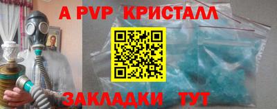 тгк Бийск