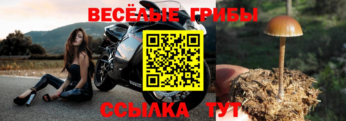 Галлюциногенные грибы мицелий Йошкар-Ола