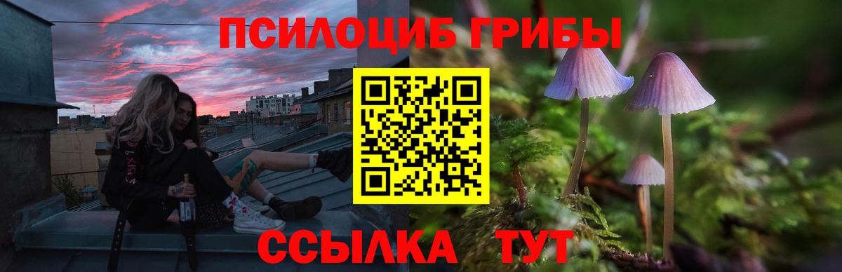 Йошкар-Ола  Псилоцибиновые грибы MAGIC MUSHROOMS  Вход с VPN 